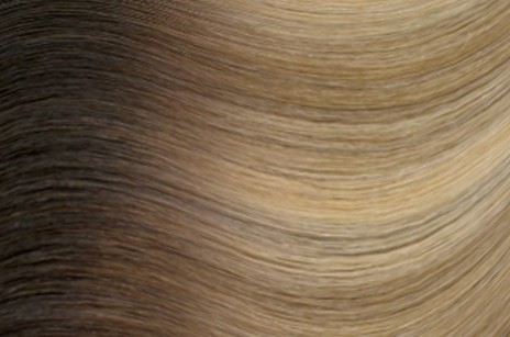 R622 Warm blonde with high & low lights