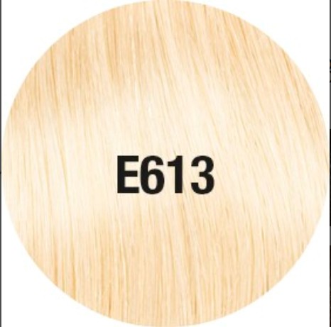 E613
